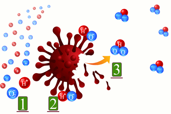 disinfection